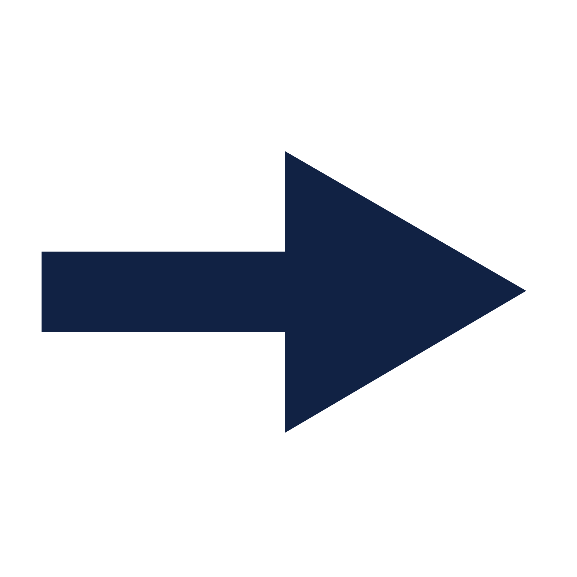 File:Sideways Arrow Icon.png