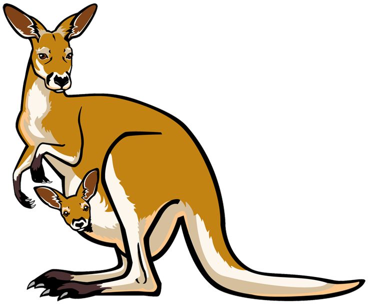 Kangaroo and joey clipart