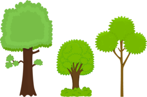 tree three different ones - vector Clip Art