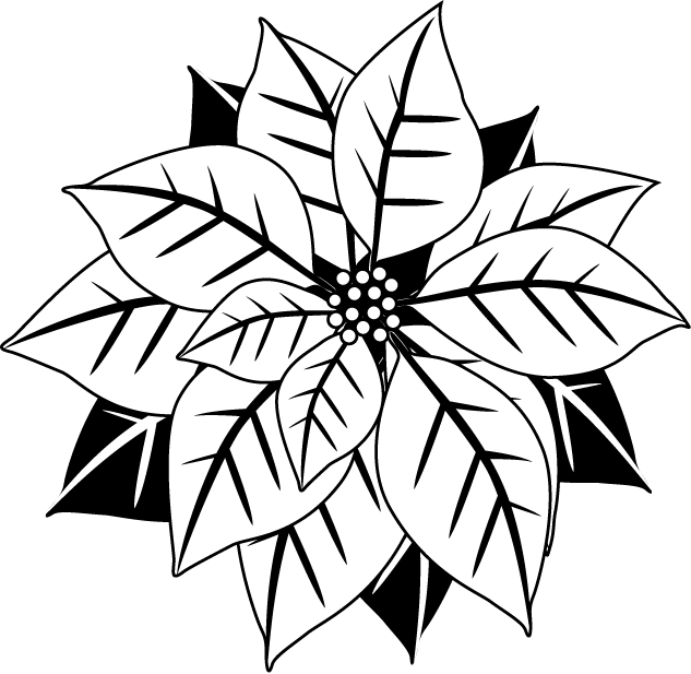 Poinsettia Clipart