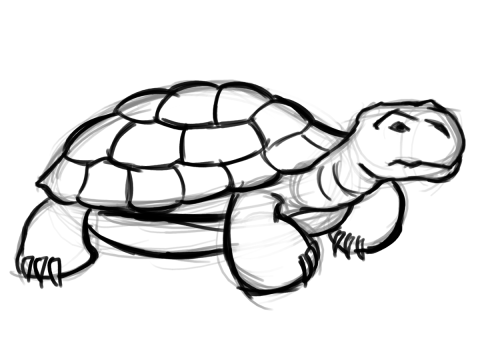 Tortoise Clipart - Free Clipart Images