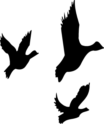 Flying Duck Free Clipart