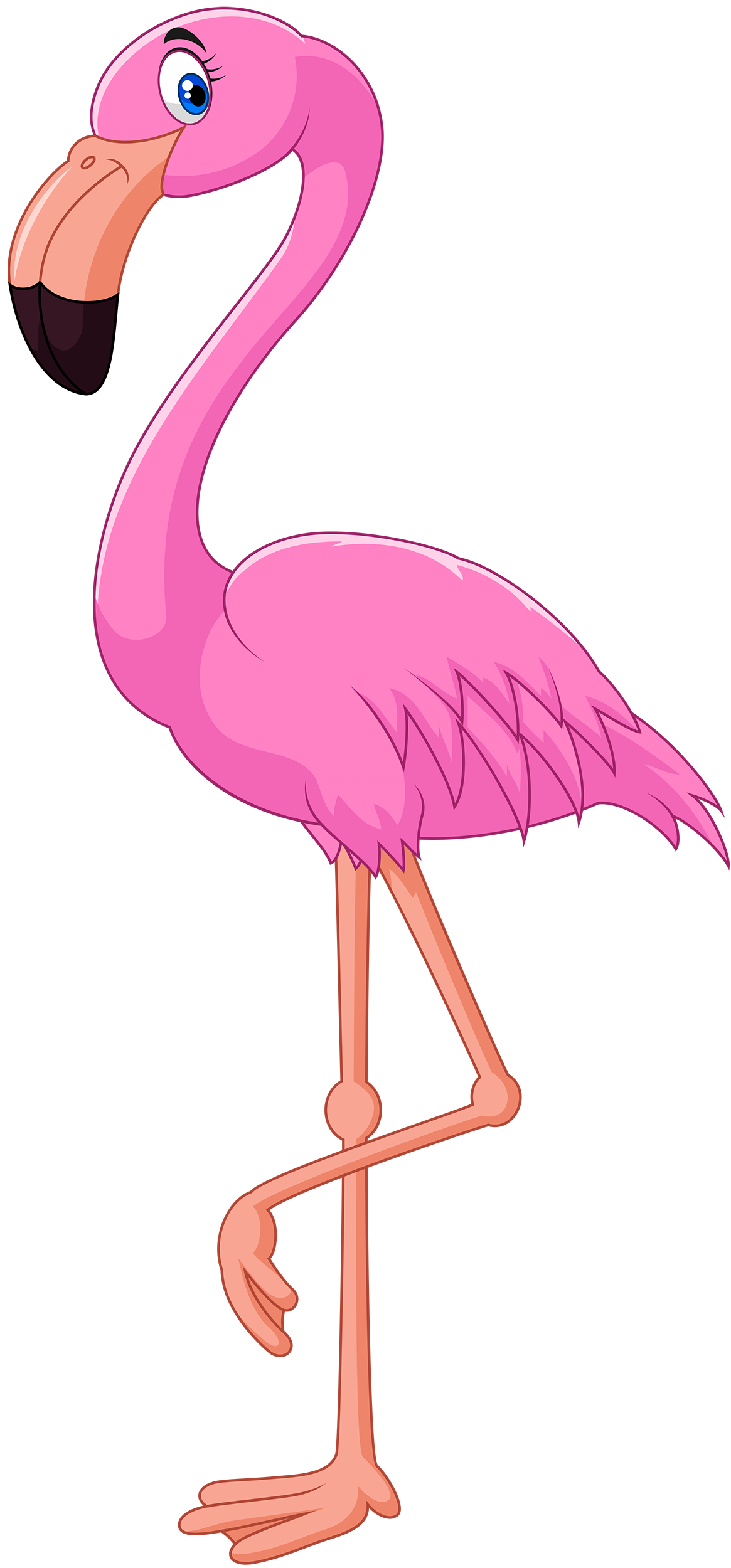 Clipart flamingo