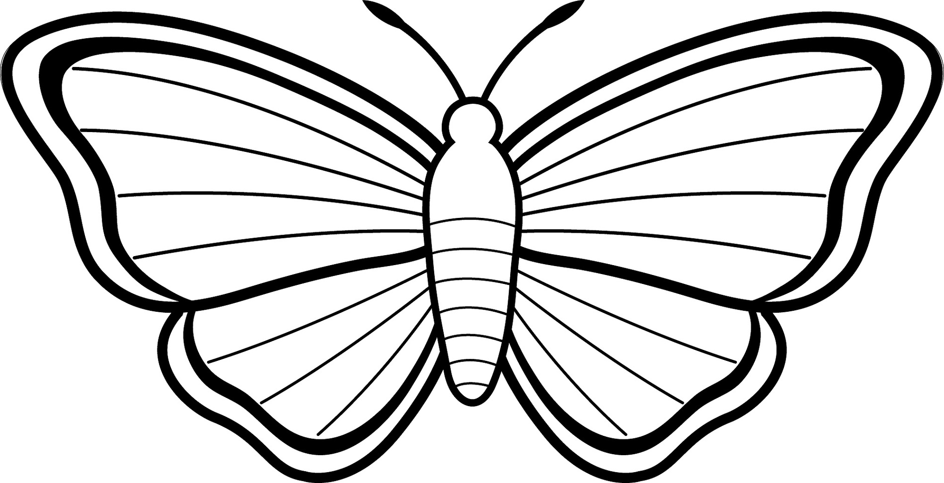 Easy Drawings For Kids Butterfly Clipart - Free to use Clip Art ...