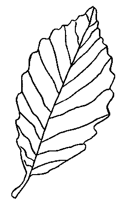 Fall Leaf Coloring Pages - School Projects Car Trip Activity