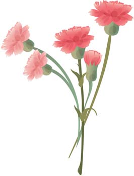 Carnation Clip Art Download 18 clip arts (Page 1) - ClipartLogo.