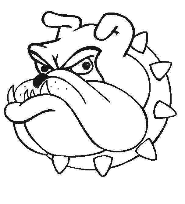 Animated Bulldog Pictures