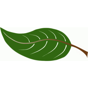 Free Leaves Clipart. Free Clipart Images, Graphics, Animated ...