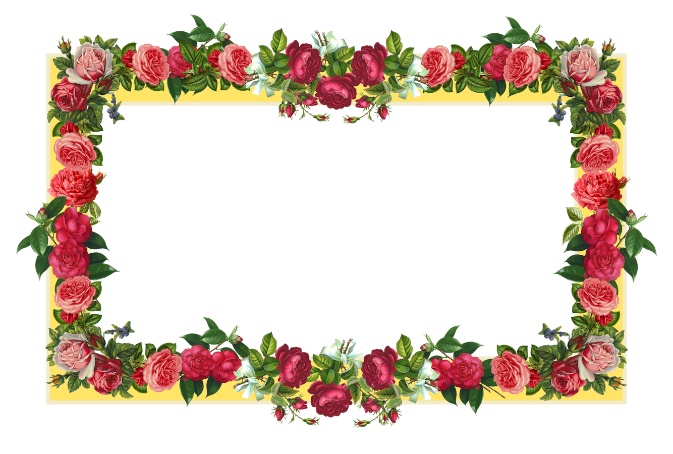 Rose Flower Border - ClipArt Best