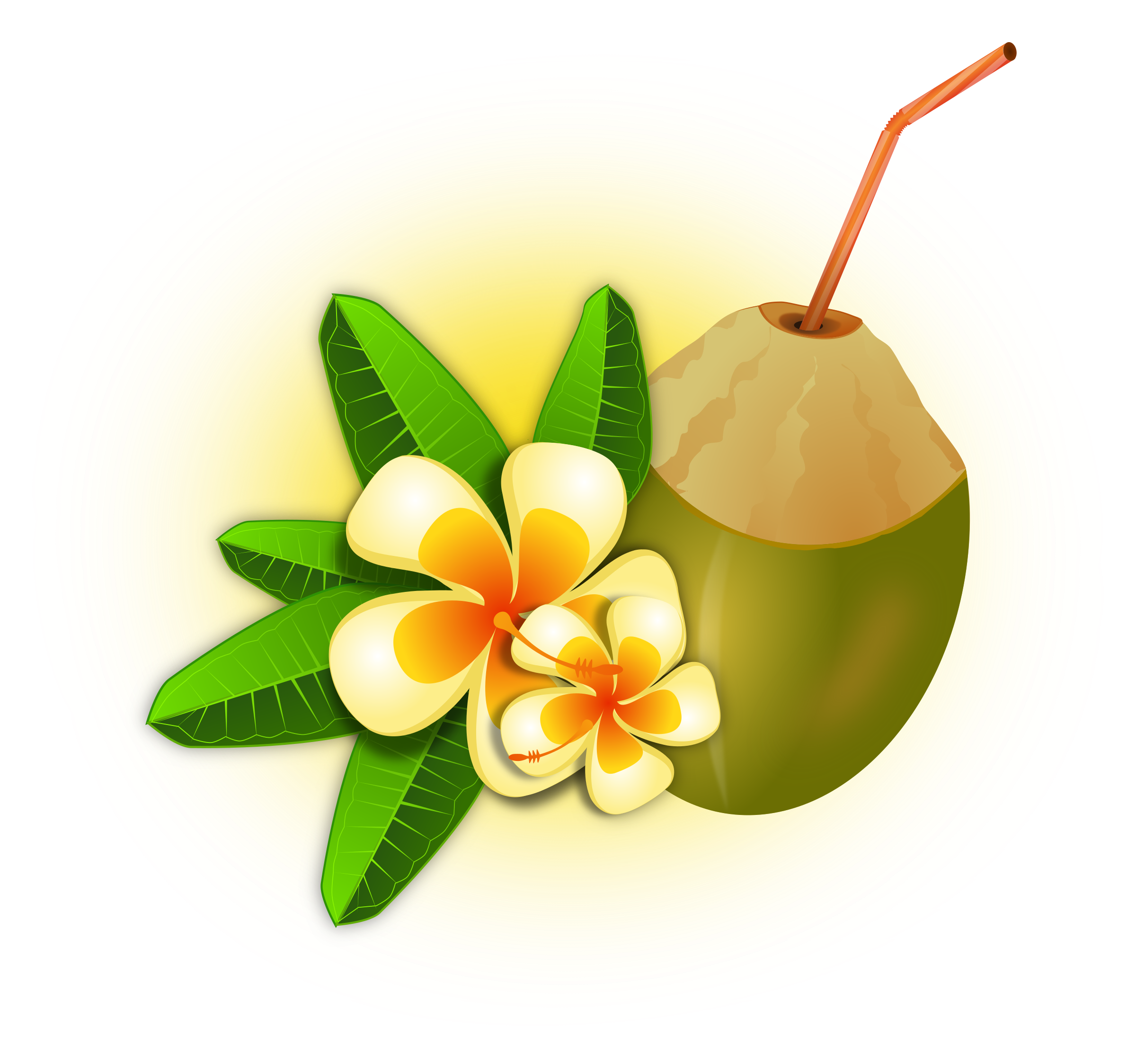 Coconut Clipart | Free Download Clip Art | Free Clip Art | on ...