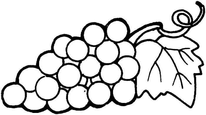 Outline Of Grapes - ClipArt Best