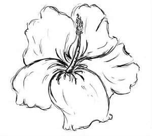 Hibiscus Flower Drawings Tattoo Design | Black and White Clip Art ...