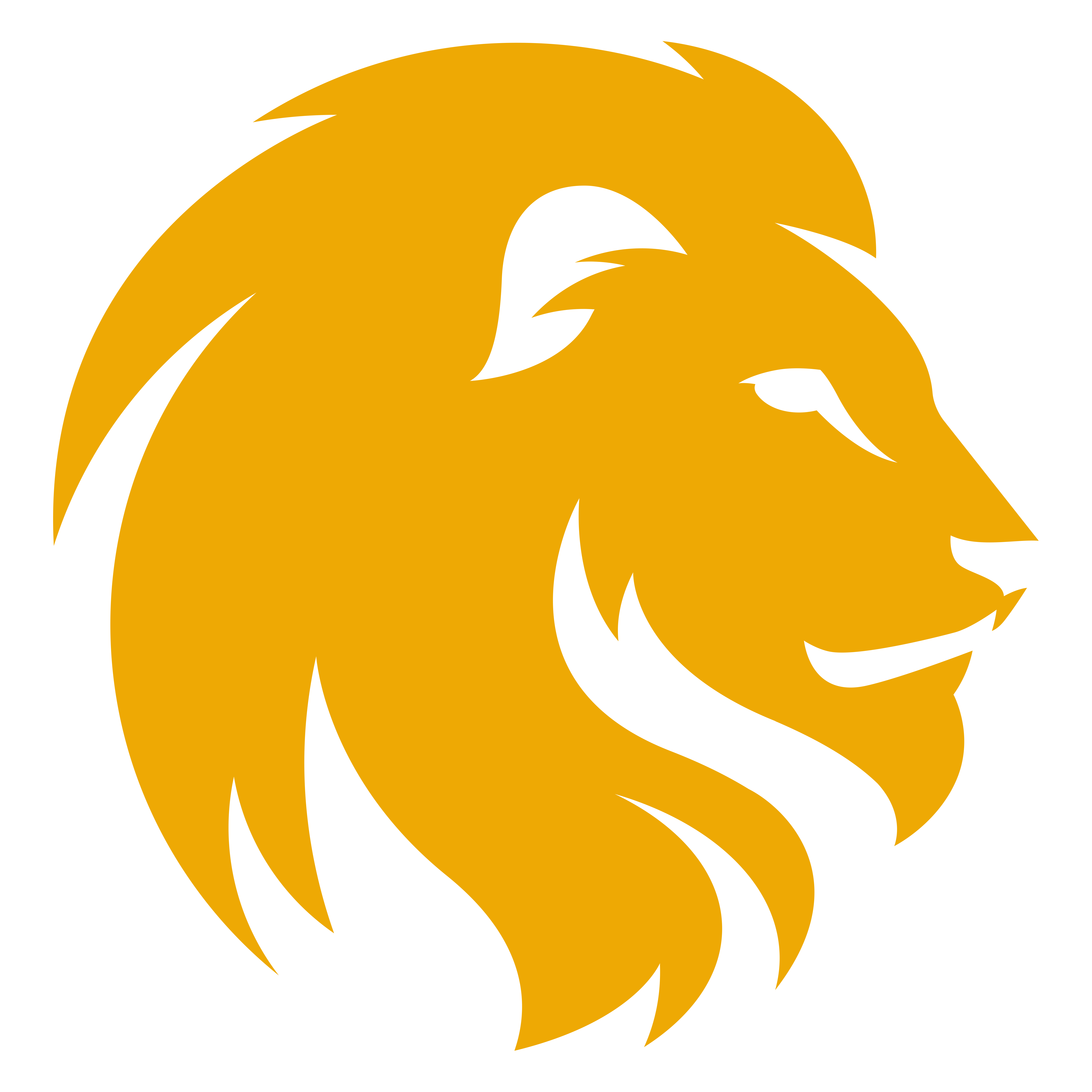 Lion Logo Pics - ClipArt Best