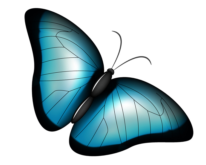 Blue Butterfly Free Vector | 123Freevectors