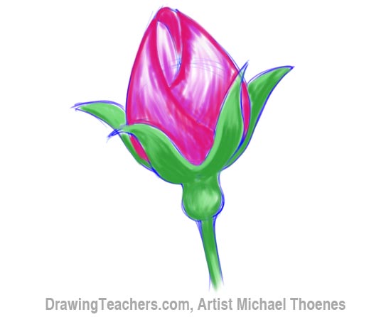 How to Draw a Rosebud