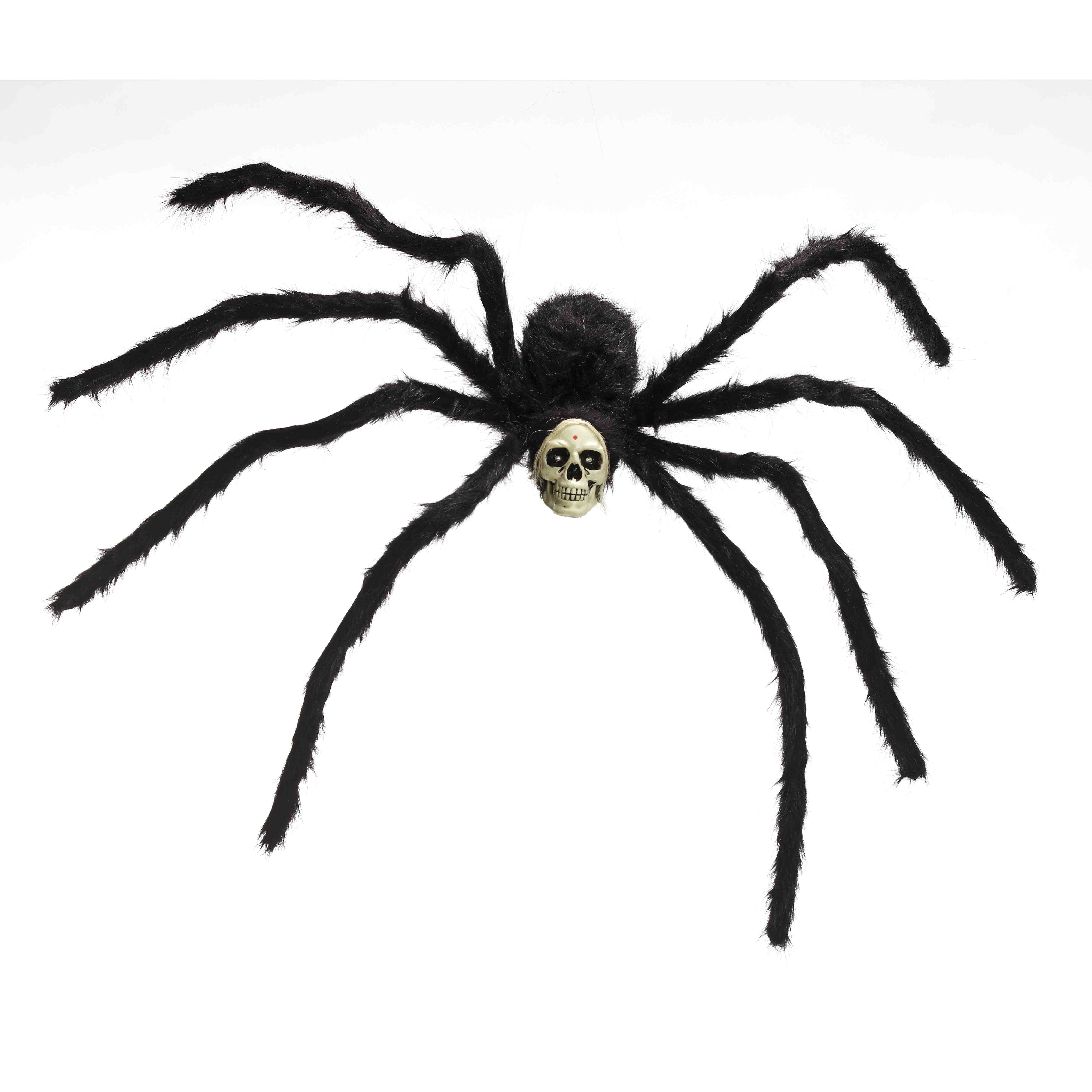 Скелет паука тарантула