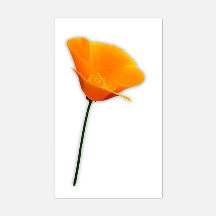 California Poppy Stickers | California Poppy Sticker Designs ...