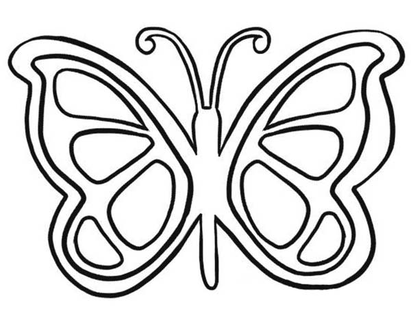 Butterfly Line Art