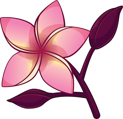 Cartoon Of A Plumeria Clip Art, Vector Images & Illustrations