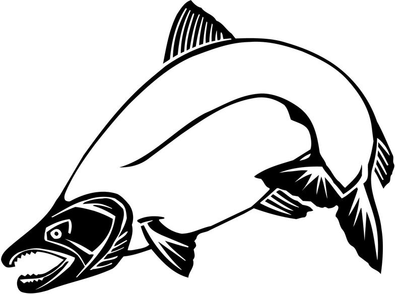 Salmon clip art images