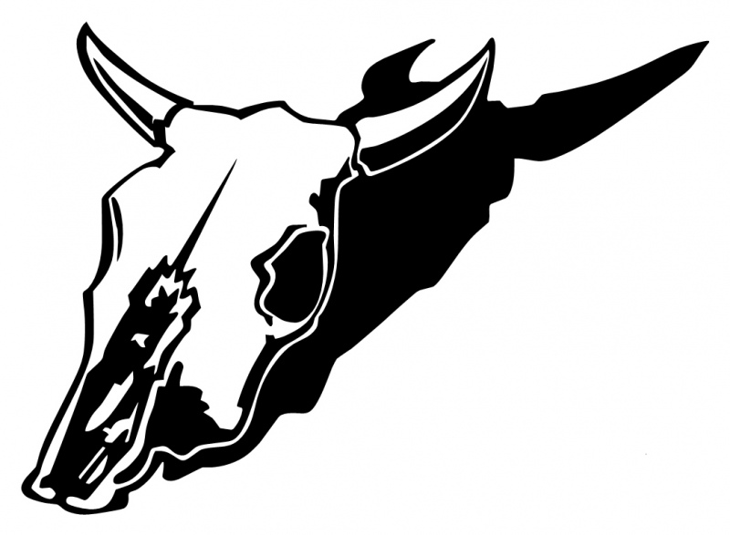COW BULL SKULL 0371 Self adhesive vinyl Sticker Decal | Signs by Post