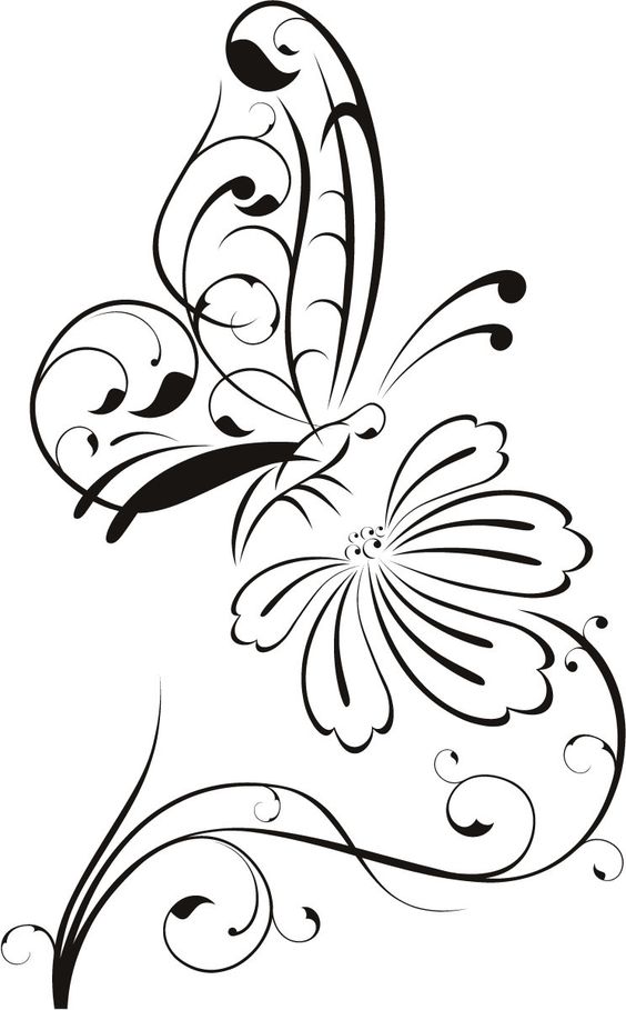 Butterfly feeds on nectar clipart