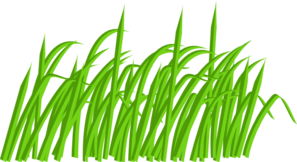 Grass blades clipart