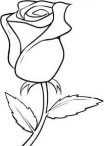 Rose sketch clipart