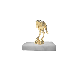 Horses Ass Comical Trophies Awards | Trophy Shop - Phoenix Arizona