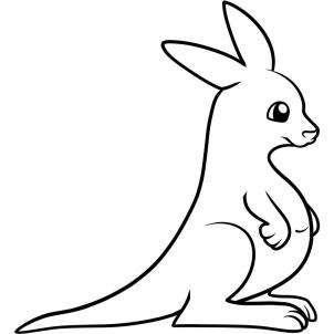 Animals - How to Draw a Kangaroo for Kids