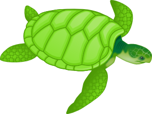 Green Sea Turtle Clip Art - vector clip art online ...