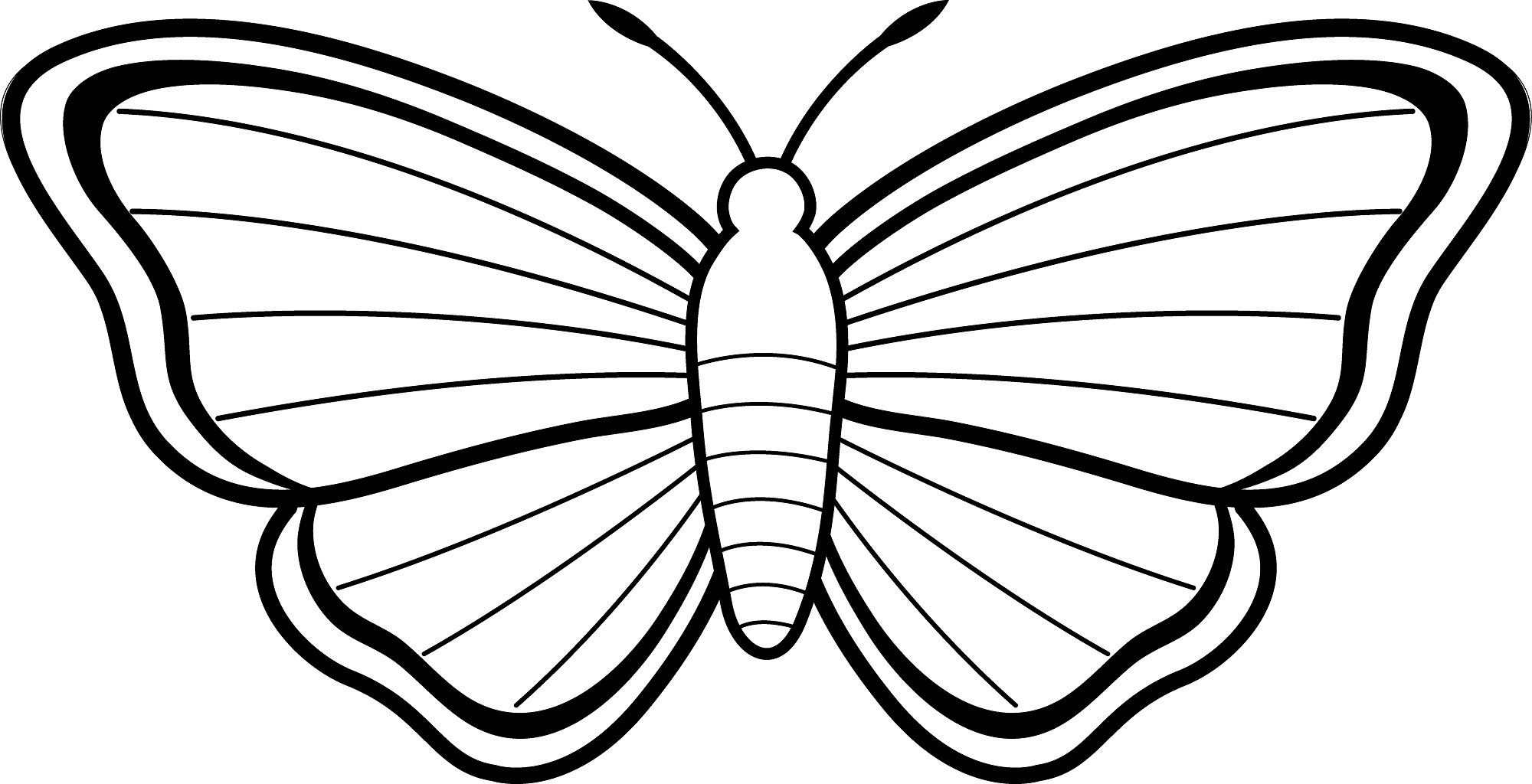 download butterfly drawing