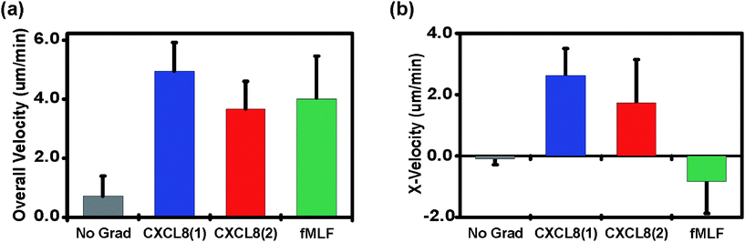 A new method for studying gradient-induced neutrophil ...