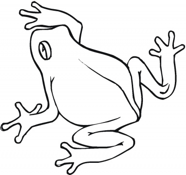 Frog Drawing | Free Download Clip Art | Free Clip Art | on Clipart ...