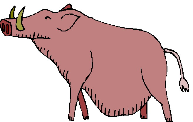 Boar Clip Art - ClipArt Best