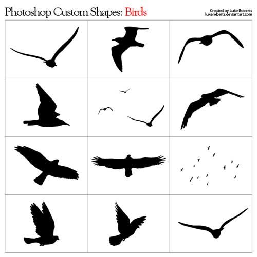 Shape, Flying birds and Birds