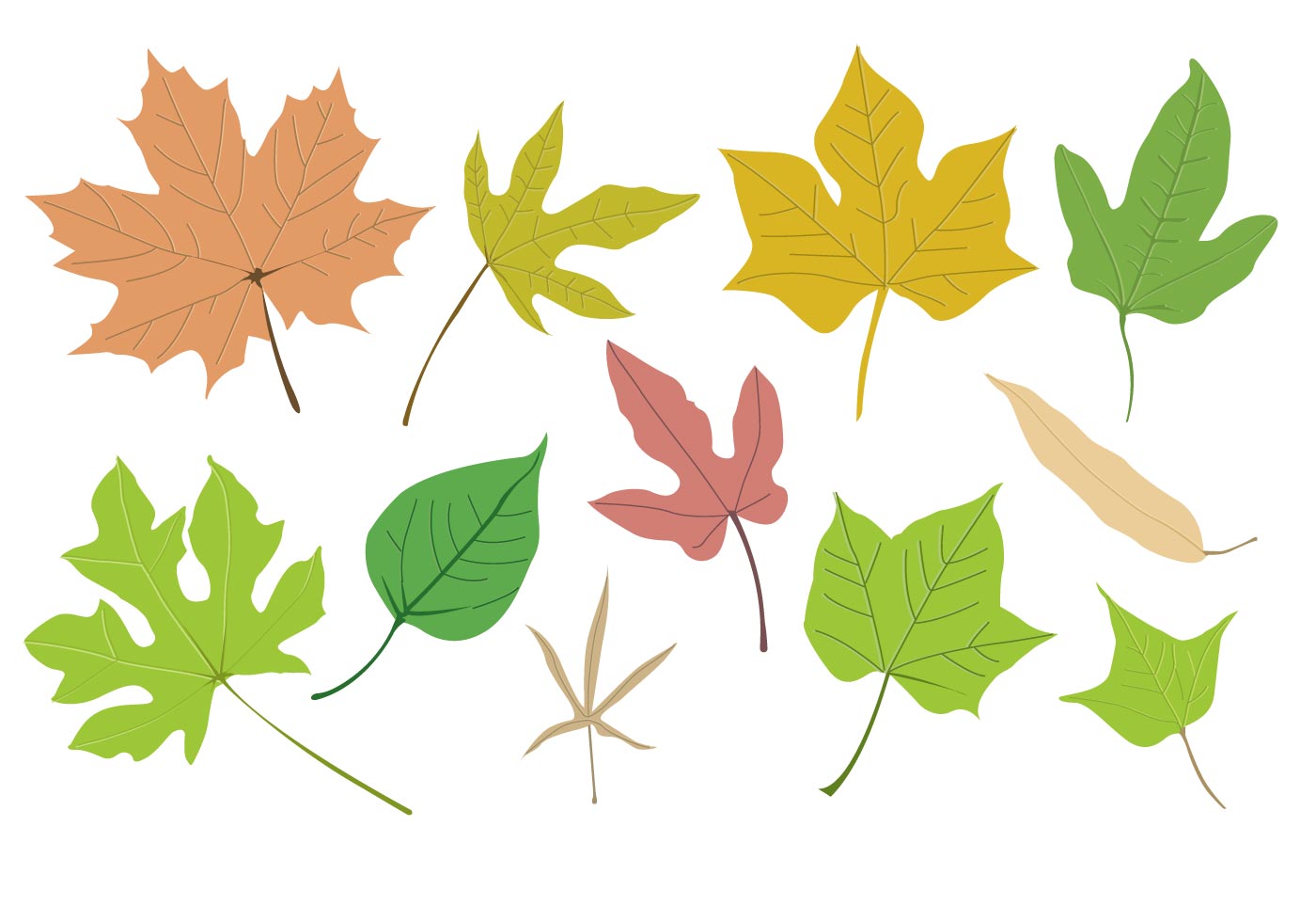 Maple Leaf Free Vector Art - (3435 Free Downloads)