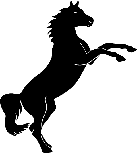 Horse rearing up clipart