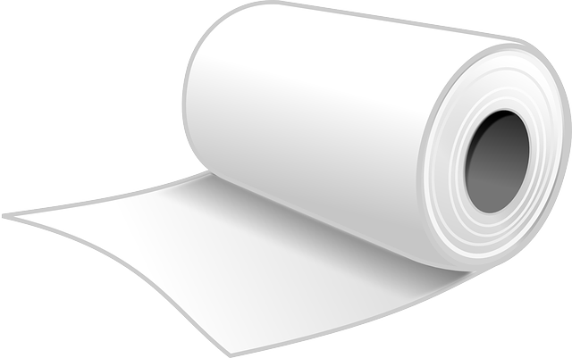 toilet_paper_PNG18307.png