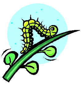 Inchworm Clipart | Free Download Clip Art | Free Clip Art | on ...