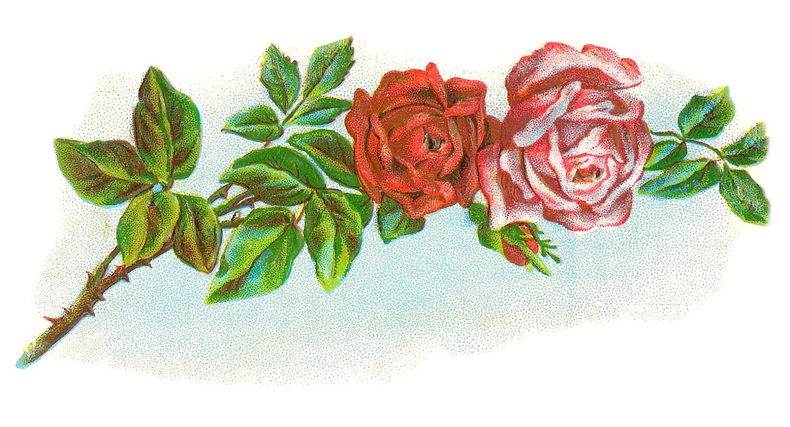 Vintage Rose Border Clipart