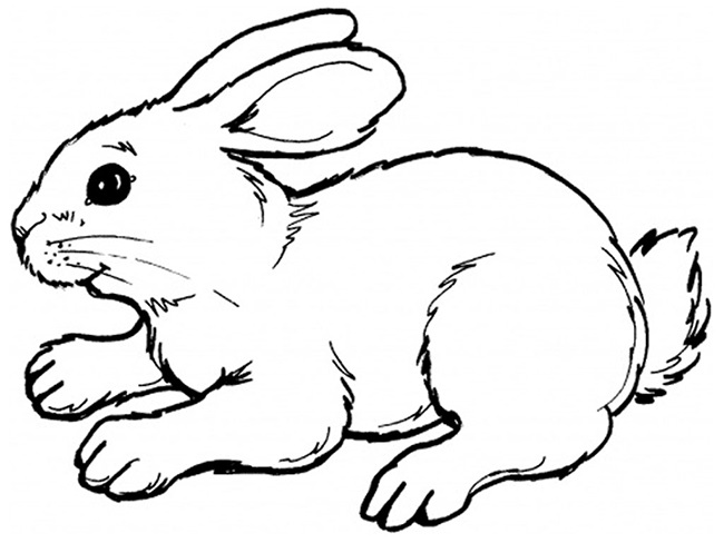 Images of Bunny Templates To Print - Jefney