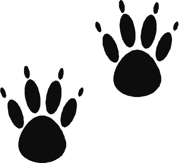 Bear Claw Art Clipart - Free to use Clip Art Resource