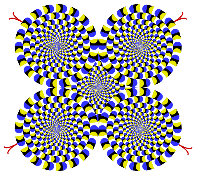 Optical Illusions – more cool mind bending images | Stupid and ...