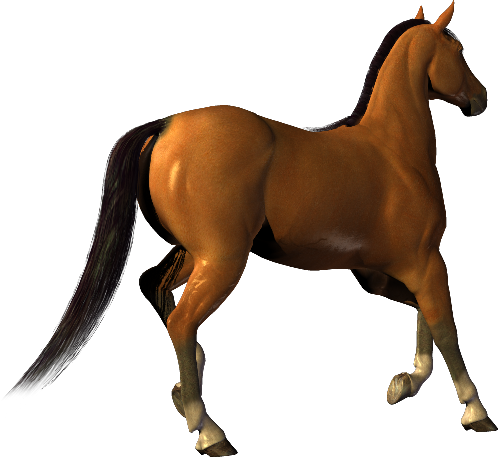 tera rising brown horse clipart