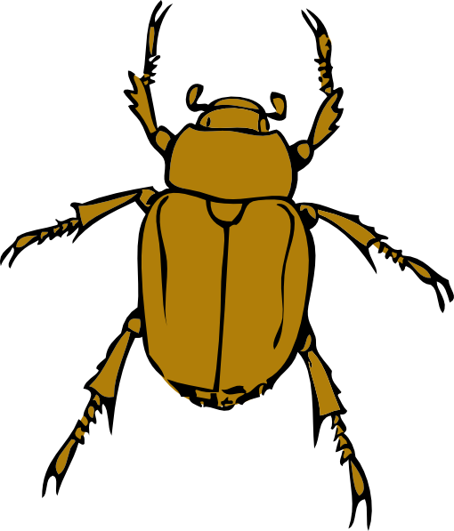 Beetle clipart free