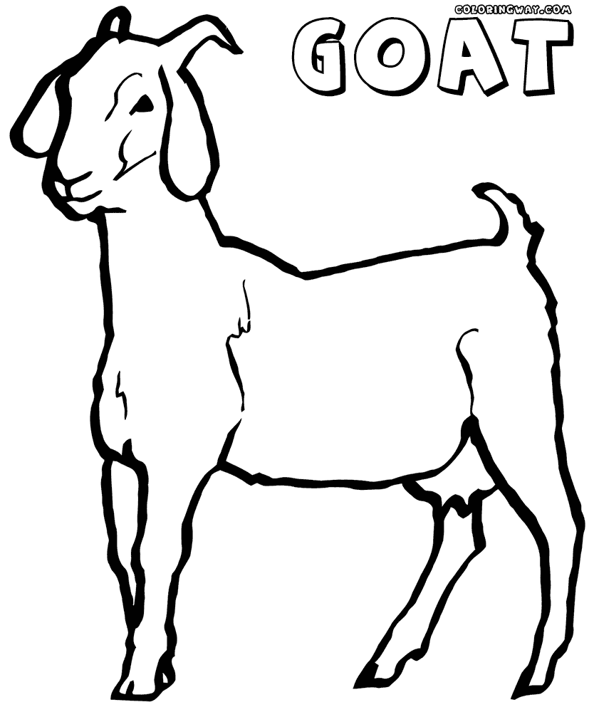 Контурное изображение козы для детей