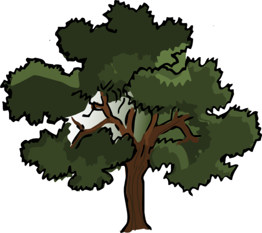 Oak Tree Graphic Clipart - Free to use Clip Art Resource