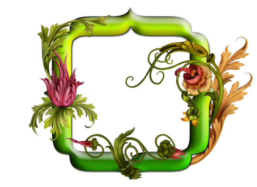 Floral Frame Png Clipart - Free to use Clip Art Resource