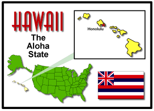 Hawaiis State Flower - ClipArt Best